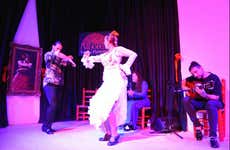 Espectáculo flamenco en La Alboreá